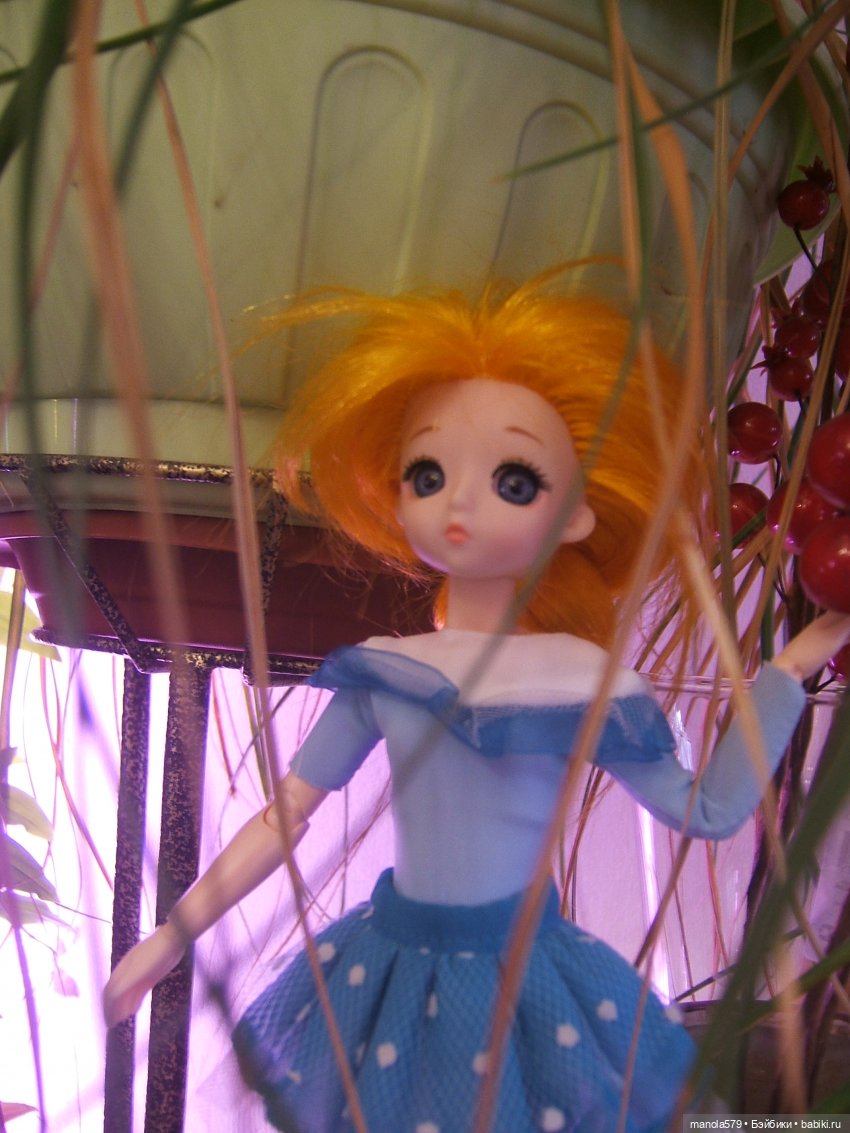 Всё чудесатее и чудесатее! Знакомство с драконом и не только))