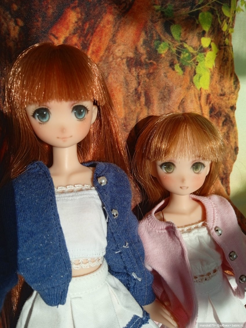 Сестры, просто сёстры — Аниме куклы (MJD/Винил): Imomo (фото 3)