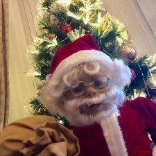 Christmas PhotoShoot with Saint Dolly