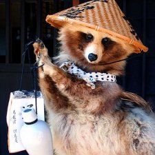 "Опасный оборотень Тануки" - 18 февраля 2023