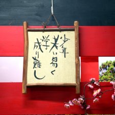 «Юность проходит быстро, а знания приобретаются трудно»