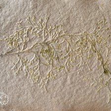 Бумага ручного отлива. Мои эксперименты