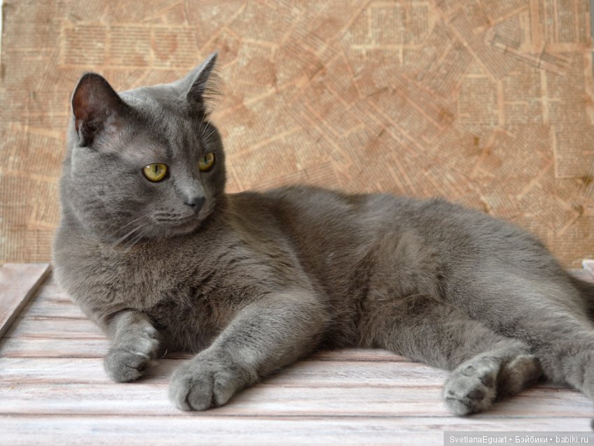 Фотофон своими руками: винтажная газета | Бэйбики Фотофон своими руками: винтажная газета