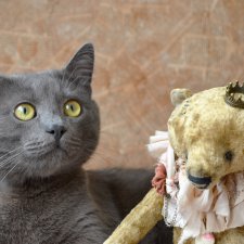 Фотофон своими руками: винтажная газета