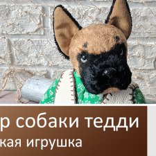 Тедди собака. Фото и видеообзор