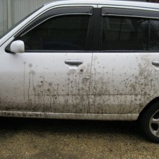 Как расшевелить музу или Рождение сюжета