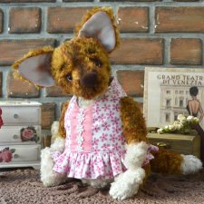 Собачка тедди. Фото и видео для памяти