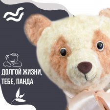 Преображение панды-подушки