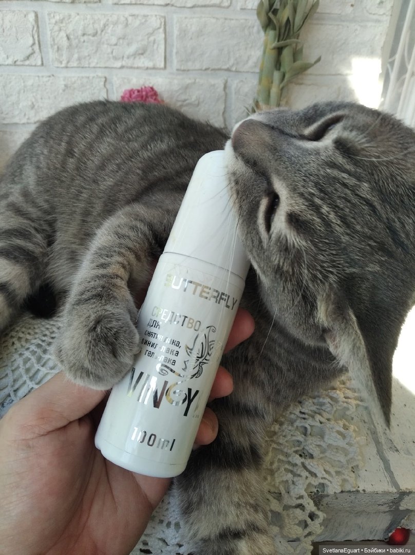 Как создавалась Лючия — Фарфоровые куклы разных брендов (Разное): редкие (фото 8)