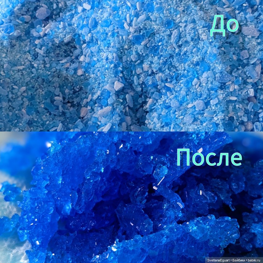 Итоги за февраль — Другие хобби и увлечения: сад (фото 5)