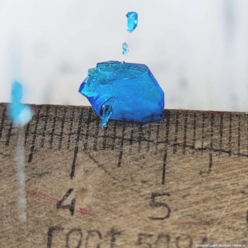 Итоги за февраль — Другие хобби и увлечения: сад (фото 6)