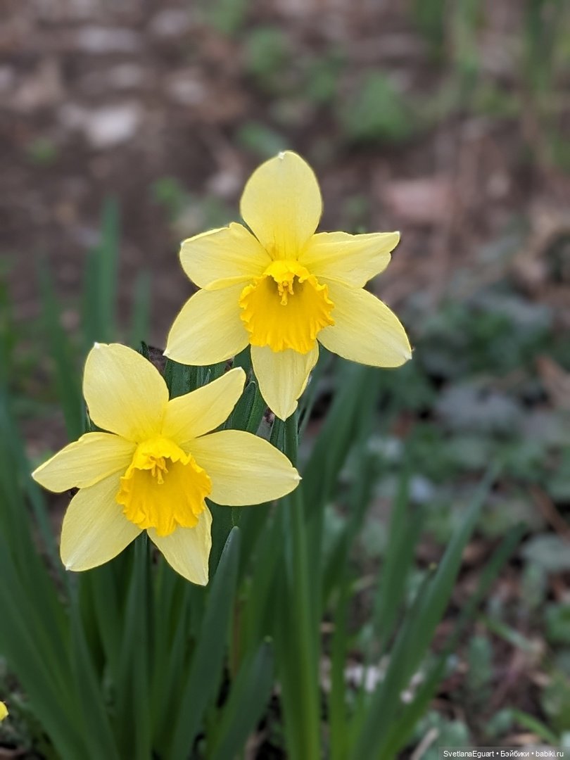 Итоги за март — Авторские мишки Тедди и друзья: фото