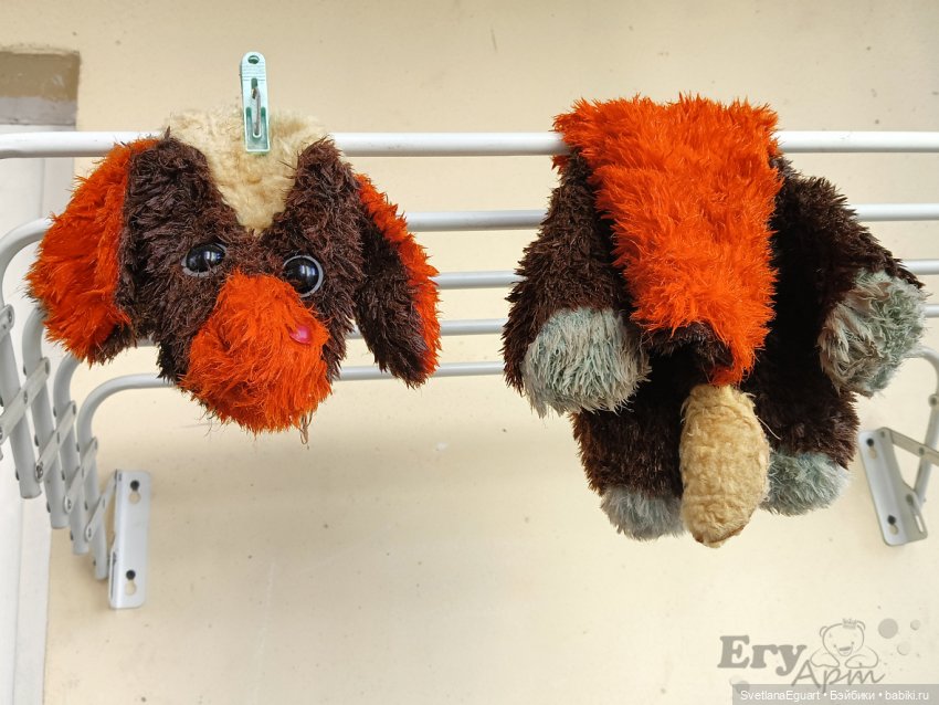 Новая жизнь третьего ослика (фото 5)