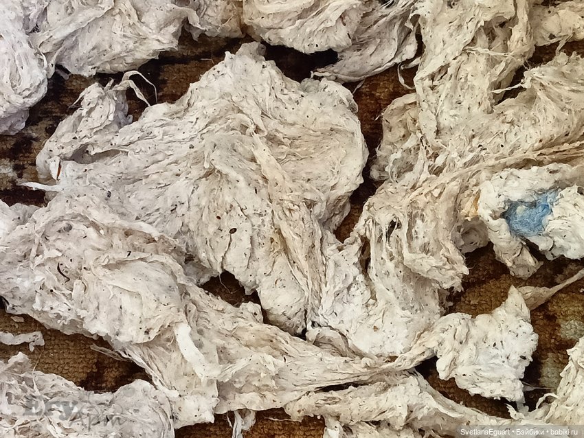 Новая жизнь третьего ослика (фото 6)