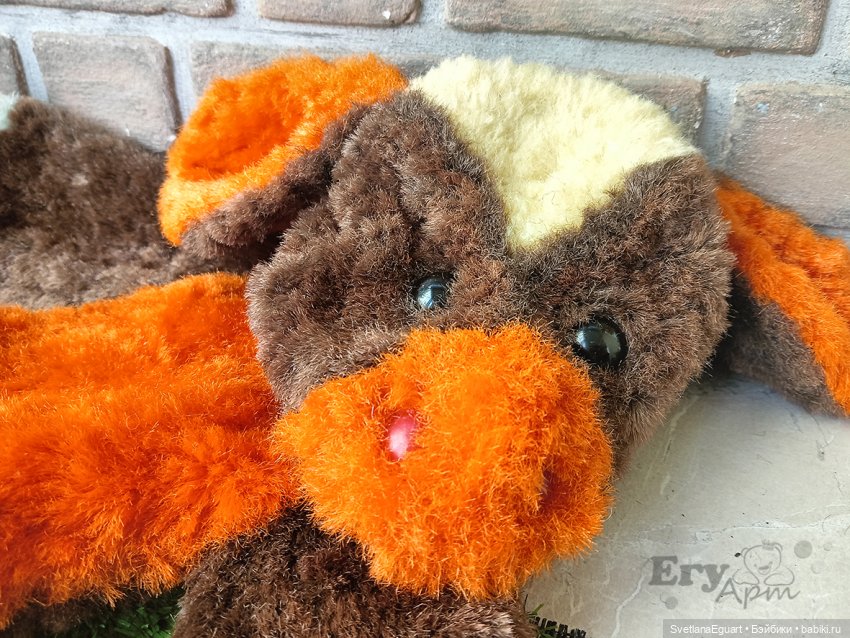 Новая жизнь третьего ослика (фото 10)