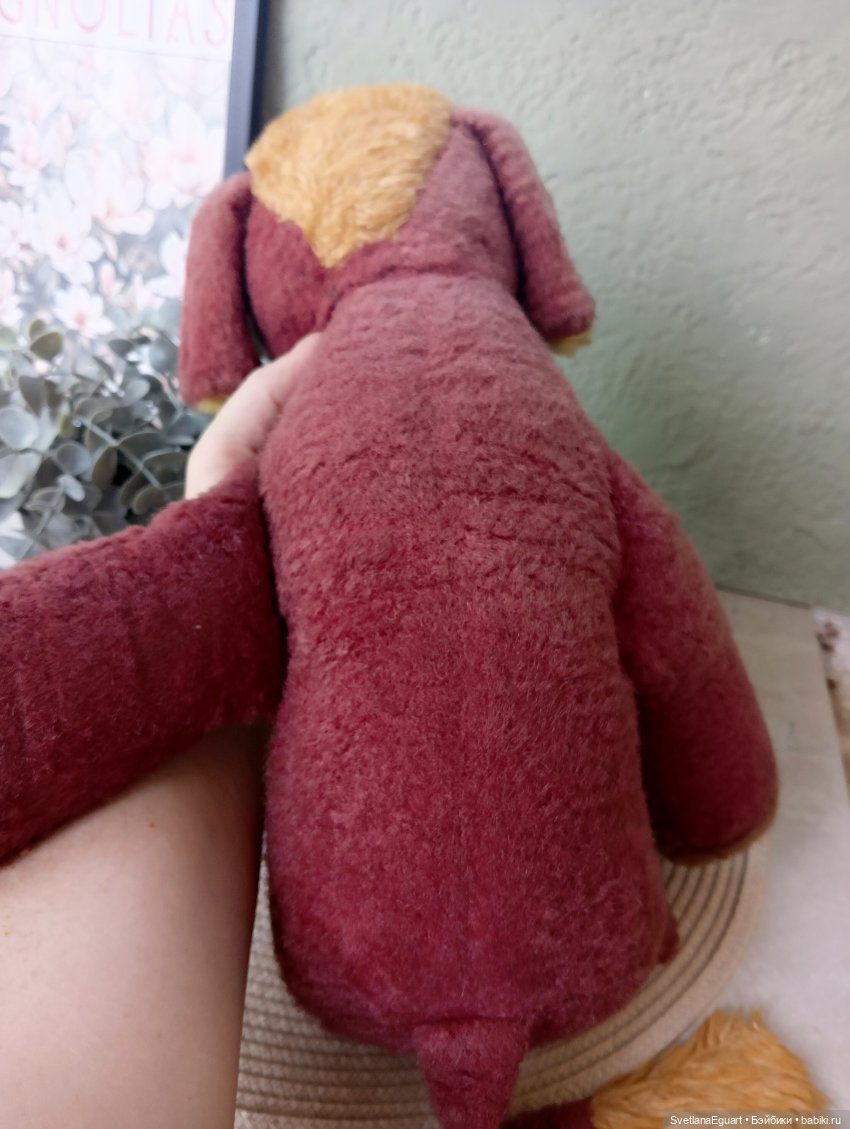 Шестой ослик. Вторая жизнь, в картинках) (фото 3)