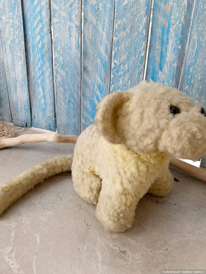 Очередной "старичок спасён". История львёнка (фото 3)