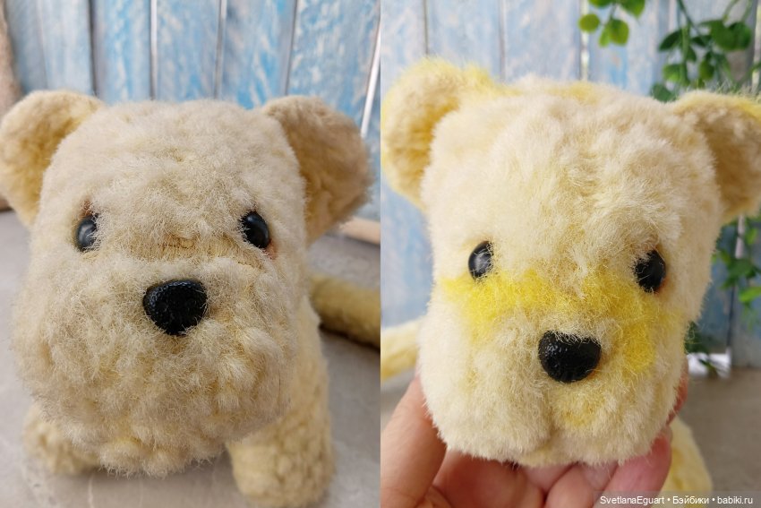 Очередной "старичок спасён". История львёнка