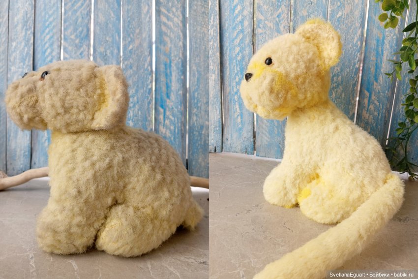 Очередной "старичок спасён". История львёнка