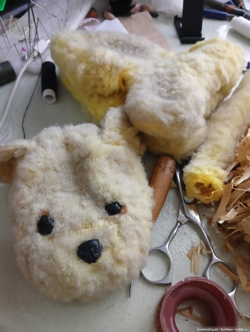 Очередной "старичок спасён". История львёнка (фото 9)