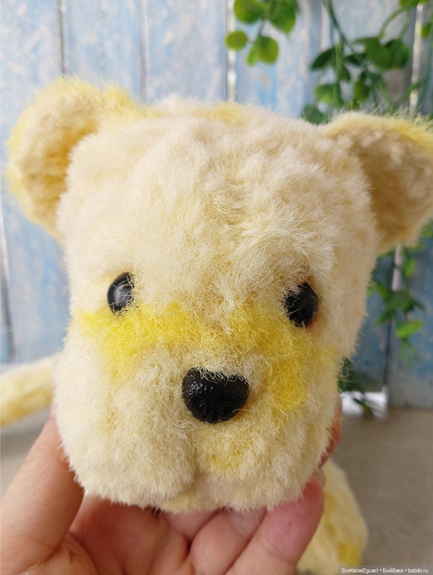 Очередной "старичок спасён". История львёнка