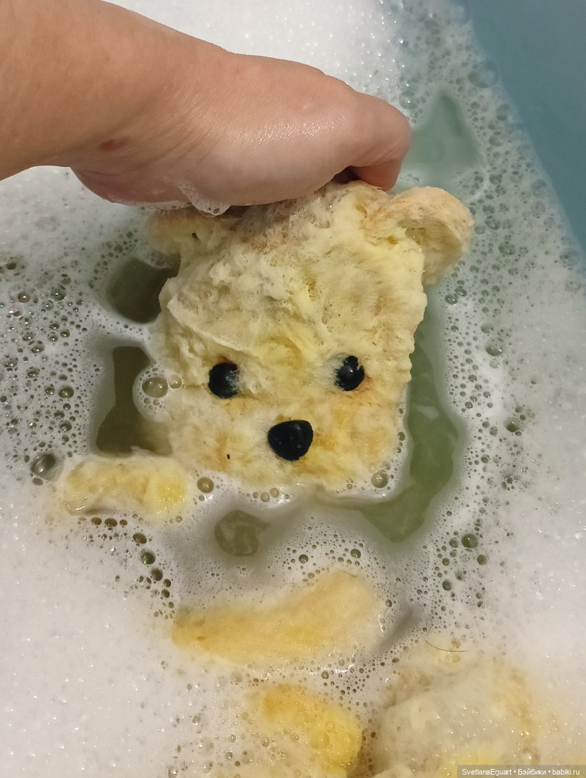 Очередной "старичок спасён". История львёнка