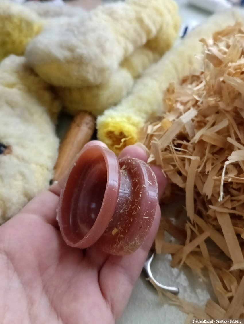 Очередной "старичок спасён". История львёнка (фото 10)