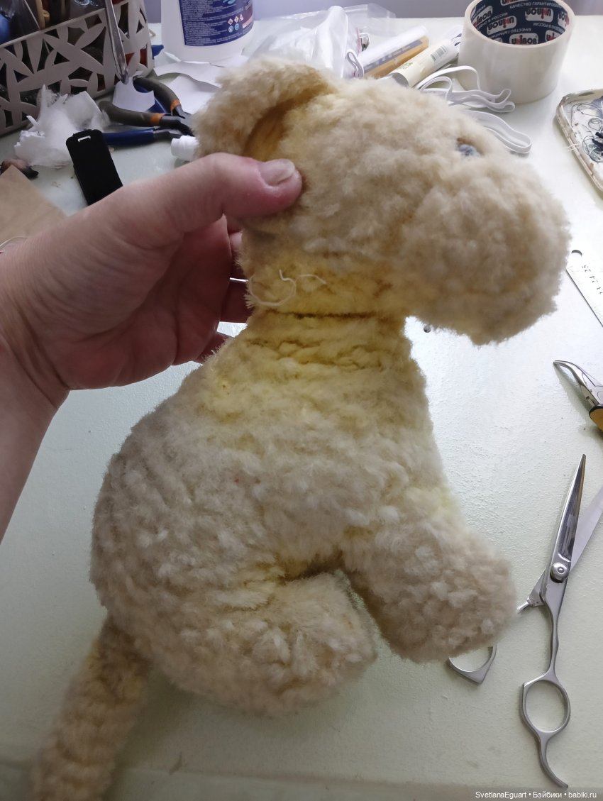 Очередной "старичок спасён". История львёнка (фото 6)