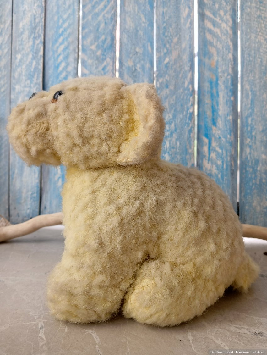 Очередной "старичок спасён". История львёнка (фото 4)