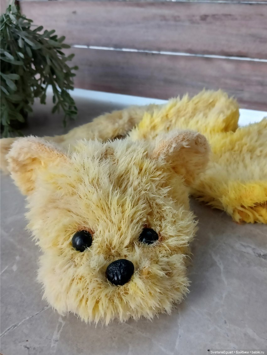 Очередной "старичок спасён". История львёнка