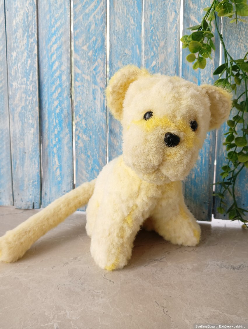 Очередной "старичок спасён". История львёнка