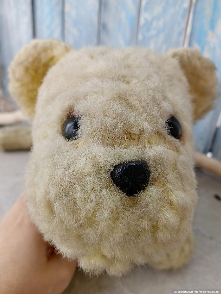 Очередной "старичок спасён". История львёнка (фото 2)