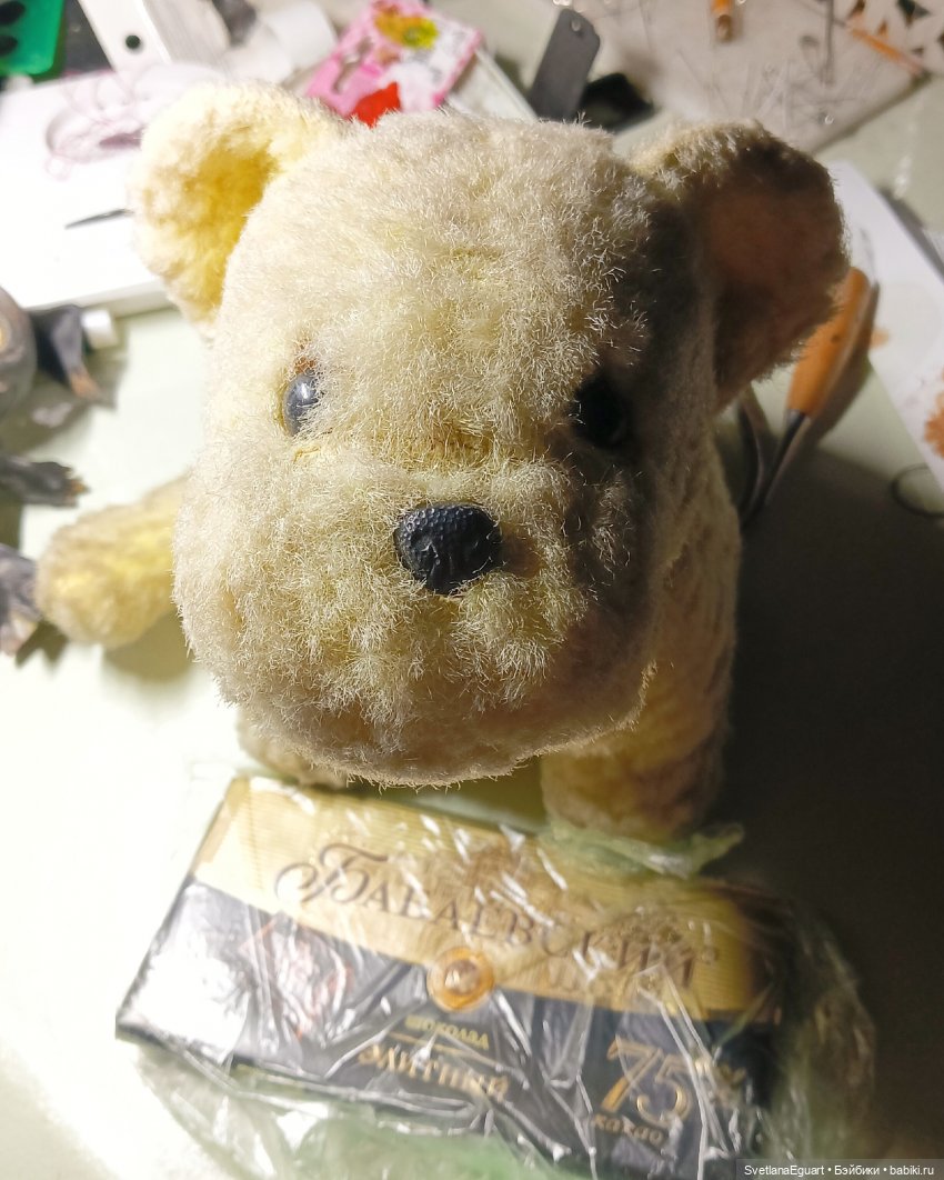 Очередной "старичок спасён". История львёнка