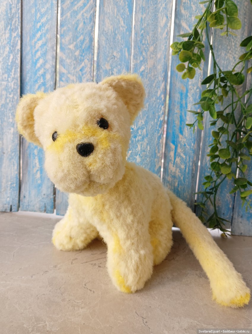 Очередной "старичок спасён". История львёнка