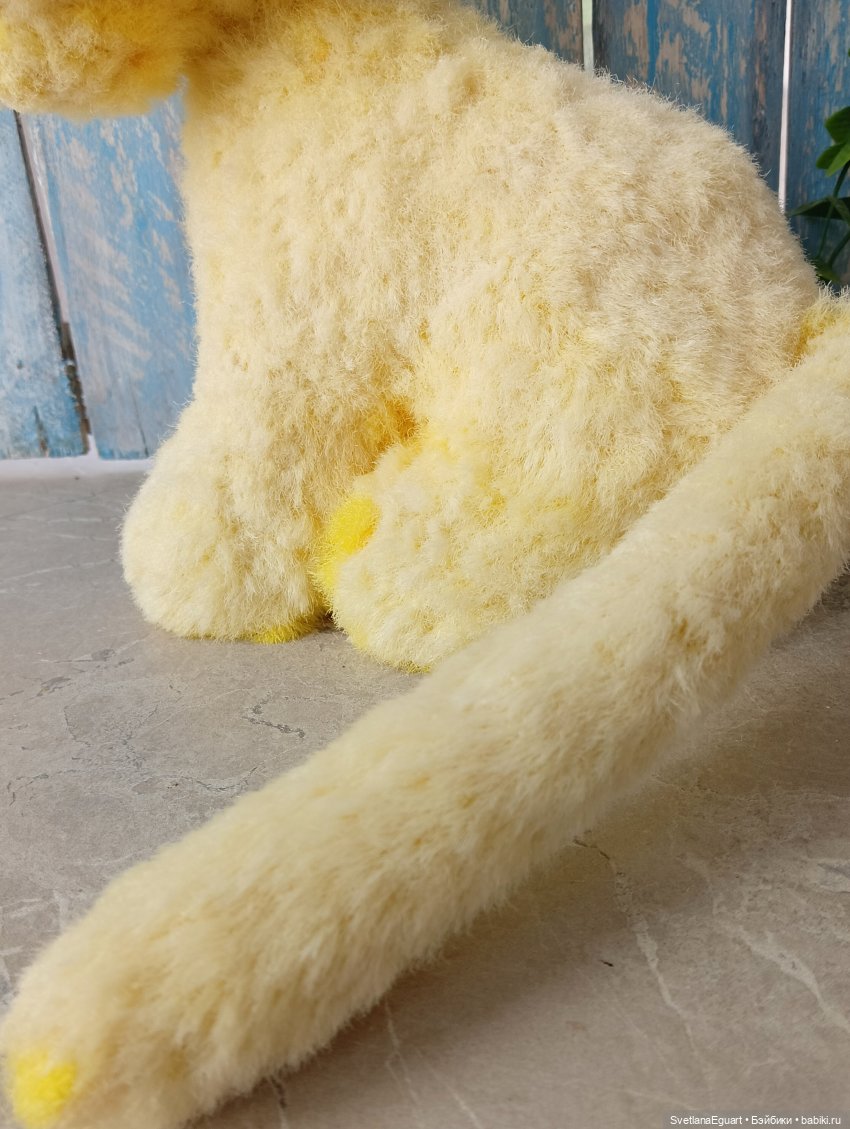 Очередной "старичок спасён". История львёнка