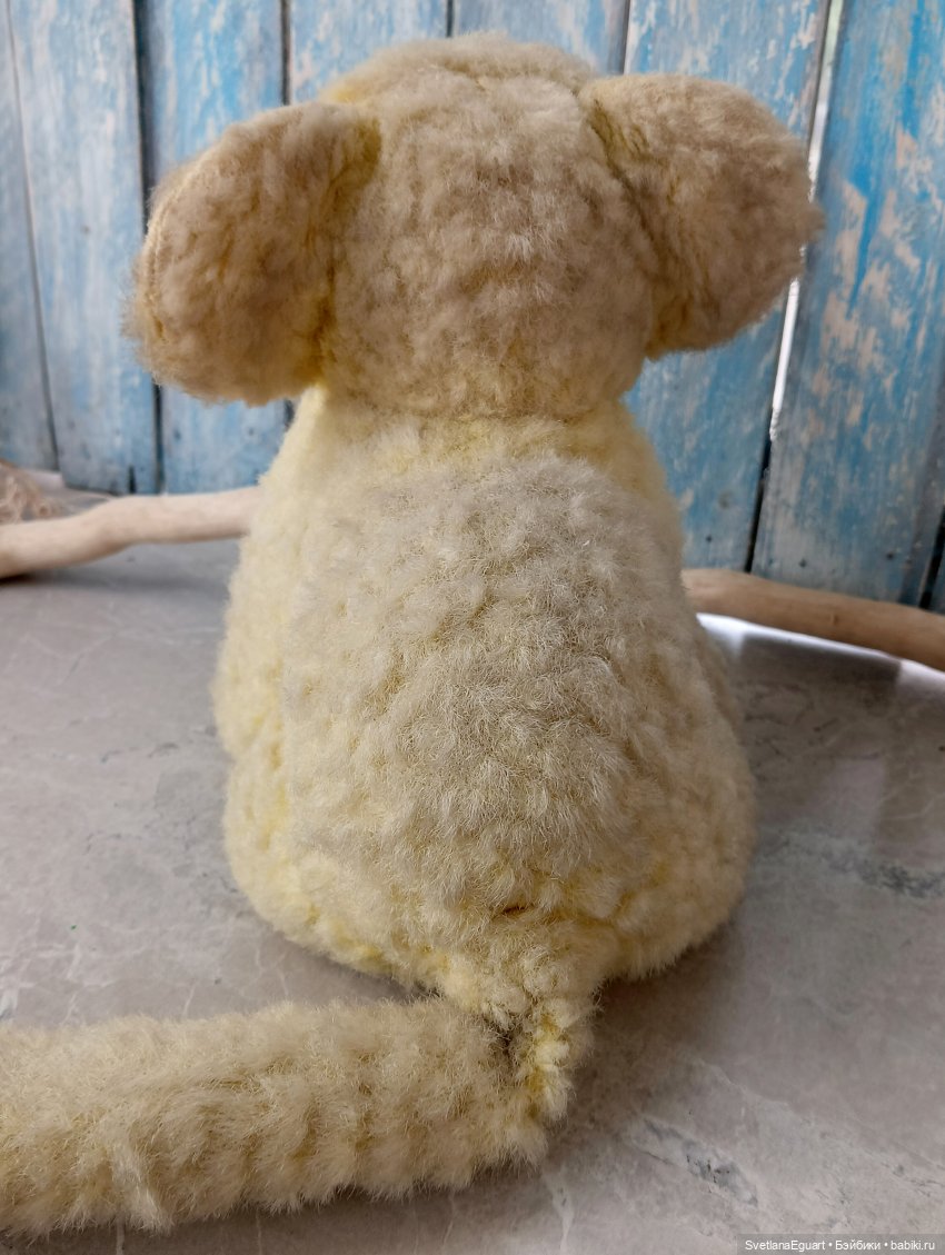 Очередной "старичок спасён". История львёнка (фото 5)