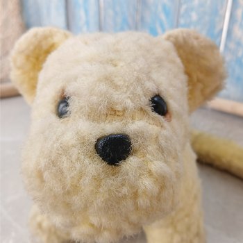 Очередной "старичок спасён". История львёнка