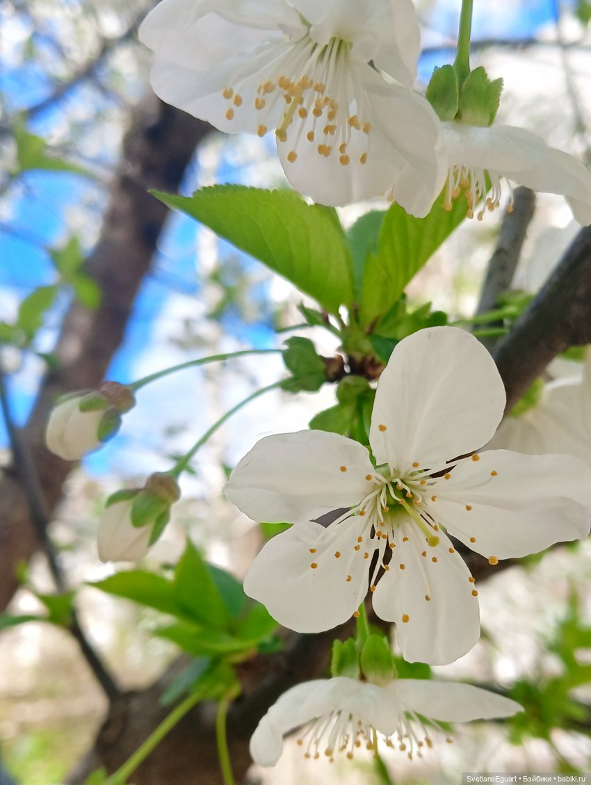 Карла - весенняя муза — Одежда и обувь для кукол своими руками: фото