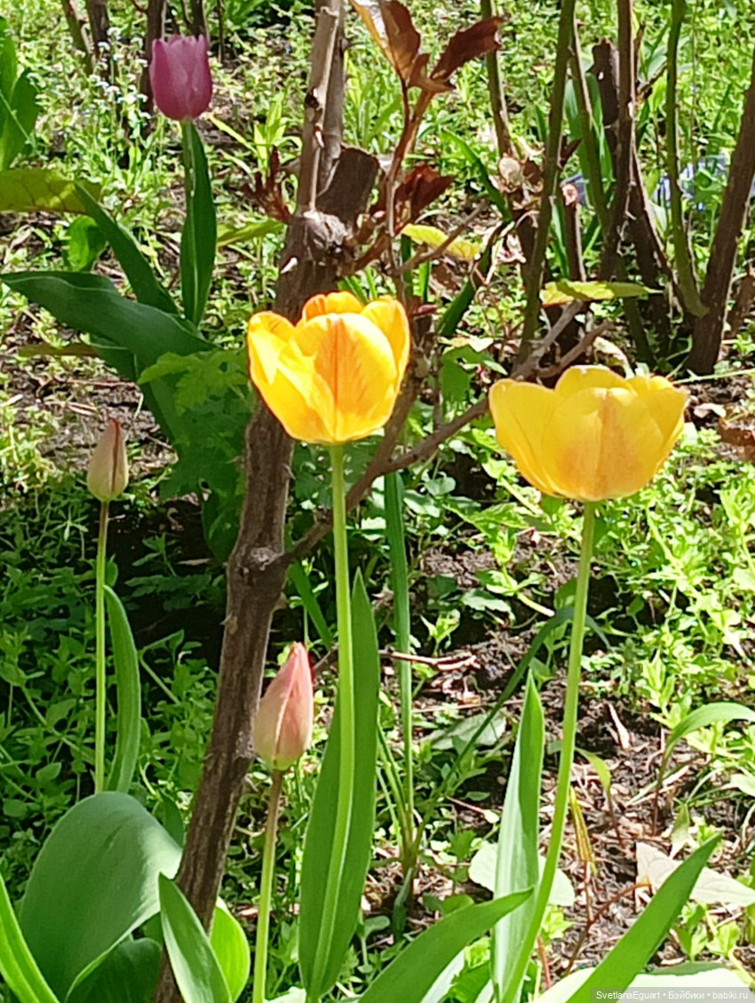 Карла - весенняя муза — Одежда и обувь для кукол своими руками: фото
