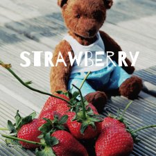 Strawberry Man
