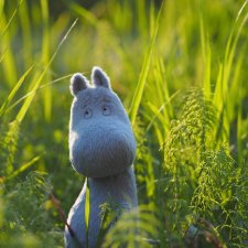 Знакомство с Муми-троллем