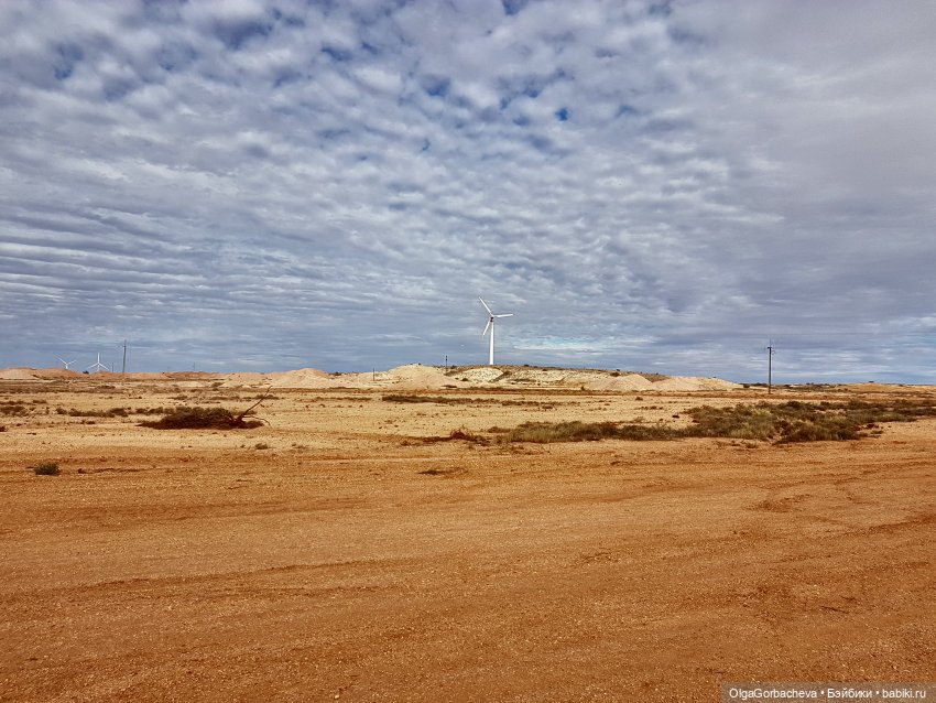Какой бывает пустыня — Туризм и путешествия: фотоотчеты из поездок (фото 3)