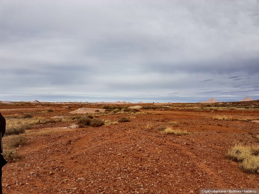 Какой бывает пустыня — Туризм и путешествия: фотоотчеты из поездок (фото 6)