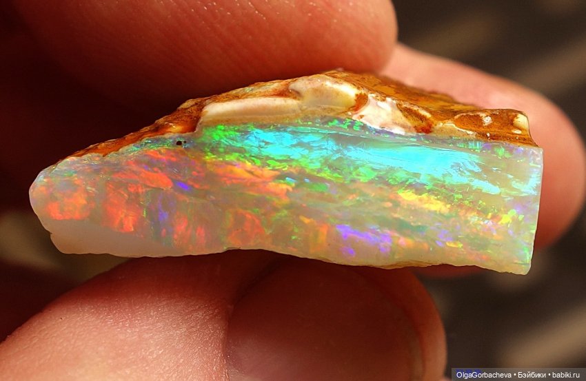 Какой бывает пустыня — Туризм и путешествия: фотоотчеты из поездок (фото 7)