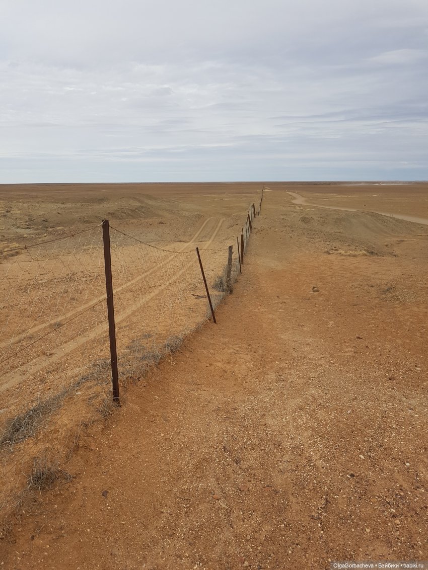 Какой бывает пустыня — Туризм и путешествия: фотоотчеты из поездок