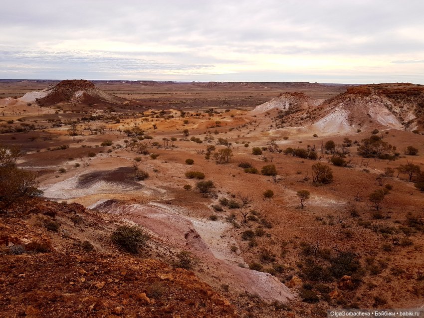 Какой бывает пустыня — Туризм и путешествия: фотоотчеты из поездок