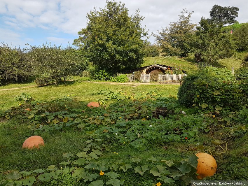 О Новой Зеландии — Туризм и путешествия: фотоотчеты из поездок