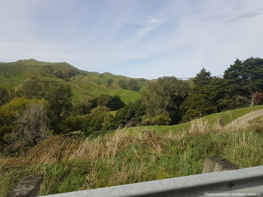 О Новой Зеландии — Туризм и путешествия: фотоотчеты из поездок (фото 3)