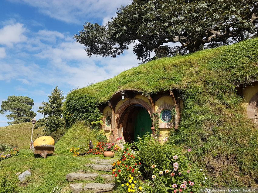 О Новой Зеландии — Туризм и путешествия: фотоотчеты из поездок