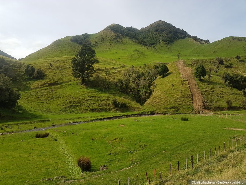 О Новой Зеландии — Туризм и путешествия: фотоотчеты из поездок (фото 2)